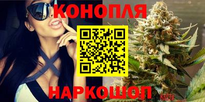 соль ск Камышлов