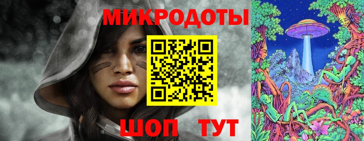 Галлюциногенные грибы Psilocybine cubensis Кулебаки